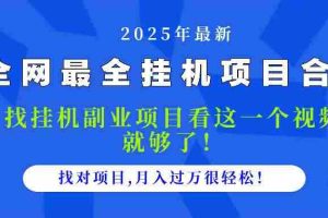 （14804期）2025最全挂机项目合集 找项目看这一个视频就够了，做对项目月入过万很…