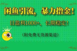 （14647期）闲鱼引流，暴力撸金，日盈利1000+，长期稳定！（附免费无货源渠道）