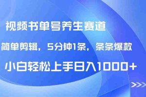 （14283期）DeepSeek+既梦做养生书单号，条条爆款5分钟1条，轻松日入1000+