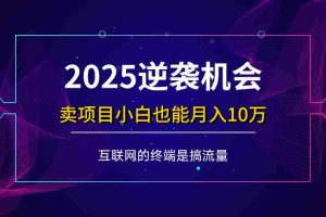 （14122期）项目标题：2025逆袭机会，卖项目小白也能轻松月入10万+