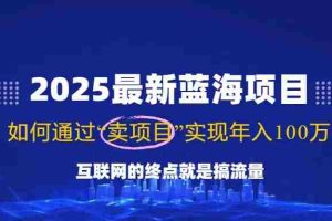 （14305期）2025最新蓝海项目，零门槛轻松复制，月入10万+，新手也能操作！