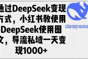 （14179期）通过DeepSeek变现方式，小红书教使用DeepSeek图文，导流私域一天变现1000+