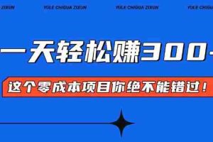 （13702期）零成本入门！简单几步开启一天300+的赚钱之路！