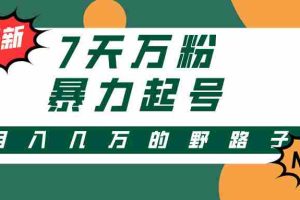 （13047期）3-7天万粉，快手暴力起号，多种变现方式，新手小白秒上手，单月变现几…