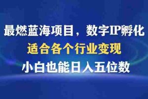 （12941期）最燃蓝海项目  数字IP孵化  适合各个行业变现  小白也能日入5位数