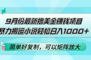 （12487期）9月份最新撸美金赚钱项目，暴力搬运小说轻松日入1000+，简单好复制可以…