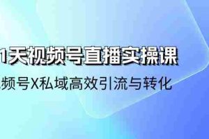 （10966期）21天-视频号直播实操课，视频号X私域高效引流与转化（22节课）