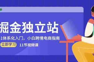 （10536期）掘金 独立站，0-1体系化入门，小白跨境电商指南（11节视频课）