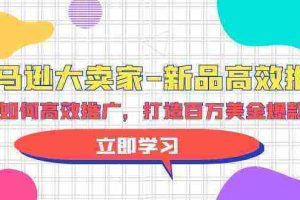 （9945期）亚马逊 大卖家-新品高效推广，分享如何高效推广，打造百万美金爆款单品
