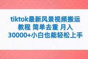 （9804期）tiktok最新风景视频搬运教程 简单去重 月入30000+附全套工具
