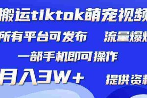 （9618期）搬运Tiktok萌宠类视频，一部手机即可。所有短视频平台均可操作，月入3W+