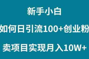 （9556期）新手小白如何通过卖项目实现月入10W+
