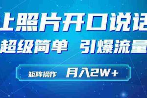 （9553期）利用AI工具制作小和尚照片说话视频，引爆流量，矩阵操作月入2W+
