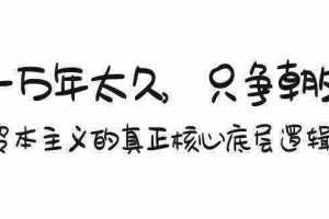 （9171期）某付费文章《一万年太久，只争朝夕：资本主义的真正核心底层逻辑》