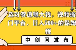 （8793期）选对赛道赚大钱，视频搬运冷门平台，日入500+的保姆级教程