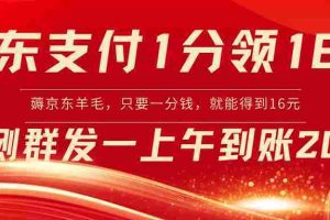 （8678期）京东支付1分得16元实操到账200