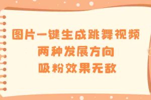 （8552期）图片一键生成跳舞视频，两种发展方向，吸粉效果无敌，