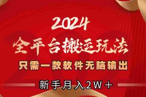 （8482期）2024全平台搬运玩法，只需一款软件，无脑输出，新手也能月入2W＋