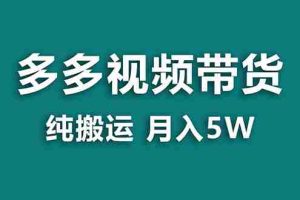 （7760期）【蓝海项目】多多视频带货，靠纯搬运一个月搞5w，新手小白也能操作【揭秘】