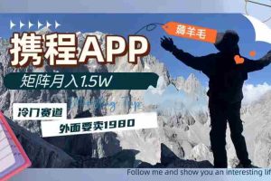 （7744期）携程APP薅羊毛，外面卖1980的冷门赛道，矩阵月入1.5w