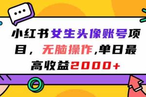 （7036期）小红书女生头像账号项目，无脑操作“”单日最高收益2000+