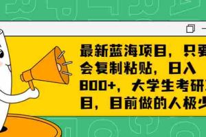 （6780期）最新蓝海项目，只要会复制粘贴，日入800+，大学生考研项目，目前做的人极少
