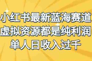 （6721期）外面收费1980的小红书最新蓝海赛道，虚拟资源都是纯利润，单人日收入过千