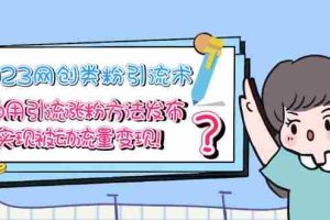 （5534期）2023网创类粉引流术，自用引流涨粉方法发布，实现被动流量变现！