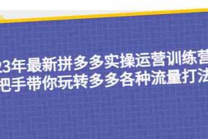 （5435期）23年最新拼多多实操运营训练营：手把手带你玩转多多各种流量打法！