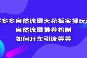 （5327期）拼多多自然流量天花板实操玩法：自然流量推荐机制，如何开车引流等等