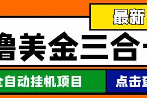 （4556期）最新国外撸美金三合一全自动挂机项目，单窗口一天2~5美金【脚本+教程】