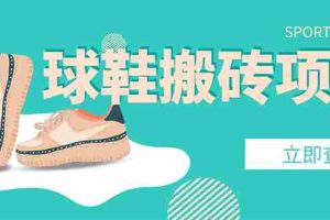 （4486期）外面收费998的球鞋搬砖项目，月入5000+【详细教程+资源渠道】