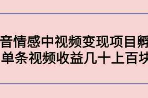 （4282期）黄岛主副业孵化营第5期：抖音情感中视频变现项目孵化 单条视频收益几十上百