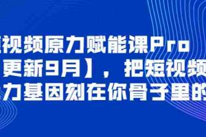（3888期）短视频原力赋能课Pro【更新9月】，把短视频能力基因刻在你骨子里的课