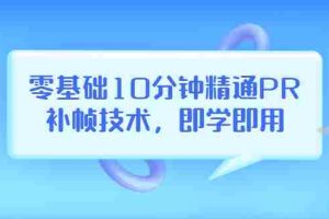（3540期）零基础10分钟精通PR补帧技术，即学即用  编辑视频上传至抖音，高概率上热门