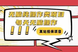 （3294期）某站担保项目：无脑纯操作类项目，每天无脑操作，需要周转资金【揭秘】