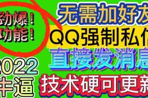 （2990期）QQ强制聊天脚本，支持筛选/发送文字功能，不支持多开【协议版】