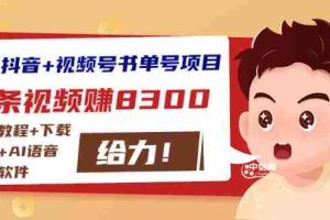 （2908期）最新抖音+视频号书单号项目：一条视频赚8300【详细教程+AI语音合成软件】