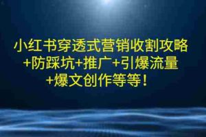 （2907期）小红书穿透式营销收割攻略+防踩坑+推广+引爆流量+爆文创作等等！