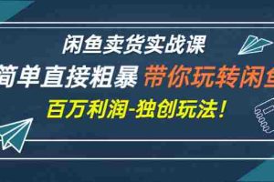 （2782期）闲鱼卖货实战课，简单直接粗暴，带你玩转闲鱼-百万利润-独创玩法！