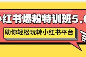 （2690期）小红书爆粉特训班5.0，助你轻松玩转小红书平台价值1380元