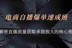 （2584期）电商自播爆单速成班：解密直播流量获取承接放大的核心密码