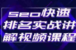（2412期）seo快速排名实战讲解视频课程，揭秘seo快排原理