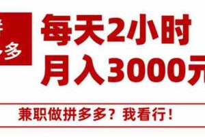 （1864期）搜外网·拼多多副业课程，每天2小时月入3000元 学习这门课程真的能赚钱