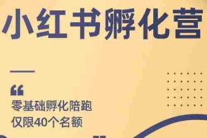 （1763期）勇哥小红书撸金快速起量项目：教你如何快速起号获得曝光，做到月躺赚3000+