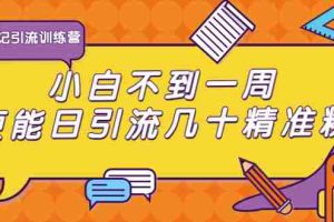 （1733期）清和行记引流训练营：小白不到一周便能日引流几十精准粉