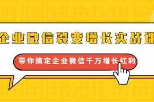 （1649期）企业微信裂变增长实战课：带你搞定企业微信千万增长红利，新流量-新玩法