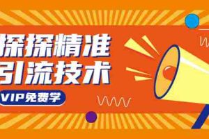 （1541期）探探精准引流技术：探探上模拟器+探探做号方法+模拟器话术+视频演示