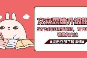 （15151期）文案思维升级秘籍，5W分析法深度解析，写作底层逻辑重构方法