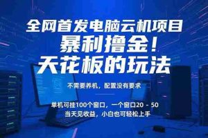 （15323期）电脑云机项目 暴力撸金玩法，不需要养机 配置没有要求 单机100个窗口一…